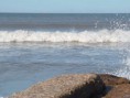 /album/fotogaleria/a10353572-631569496929731-6343112192677858255-n-jpg1/