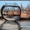 /album/fotogaleria-fotogaleria/a11935099-883142708439074-6180460258952862624-n-jpg/