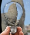 /album/fotogaleria-fotogaleria/a12011176-883844001702278-4644304540292782471-n-jpg/