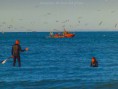 /album/fotogaleria-fotogaleria/a12027639-885214924898519-2786464232774030595-n-jpg/