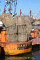 /album/fotogaleria-inicio/dsc-0053-jpg/