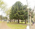 /album/fotogaleria-inicio1/dsc-0005-jpg/