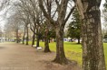 /album/fotogaleria-inicio1/dsc-0015-jpg/