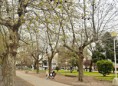 /album/fotogaleria-inicio1/dsc-0024-jpg/